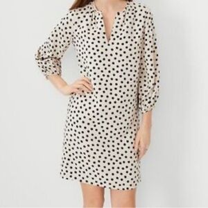 Ann Taylor medium polka dot shirt dress